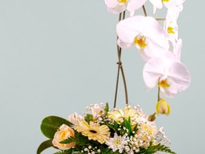 Honra floral con base de copa, orquídea, tocado y base decorada